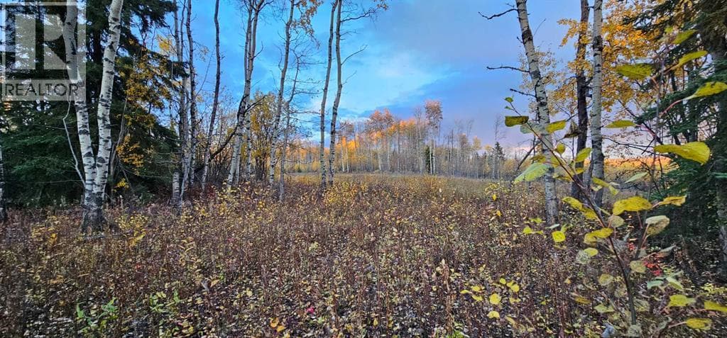 SE-27-79-9-W6 92 Range Road — photo 5