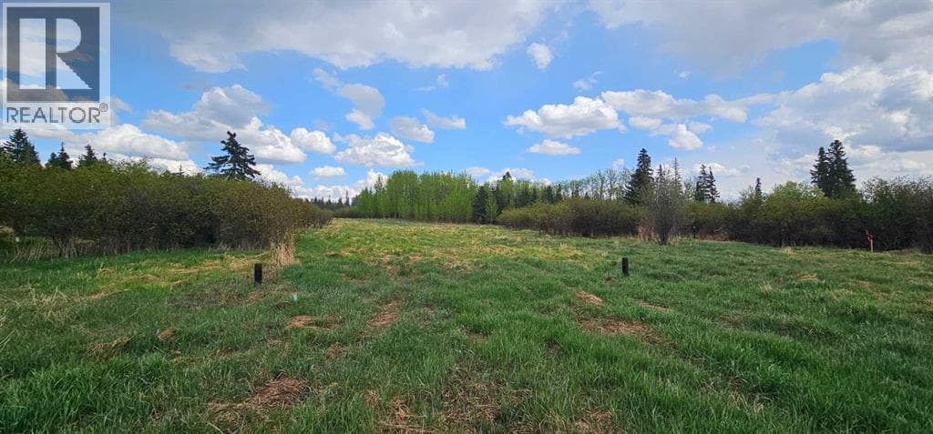 SW22-74-6-W6 63 Range Road — photo 3