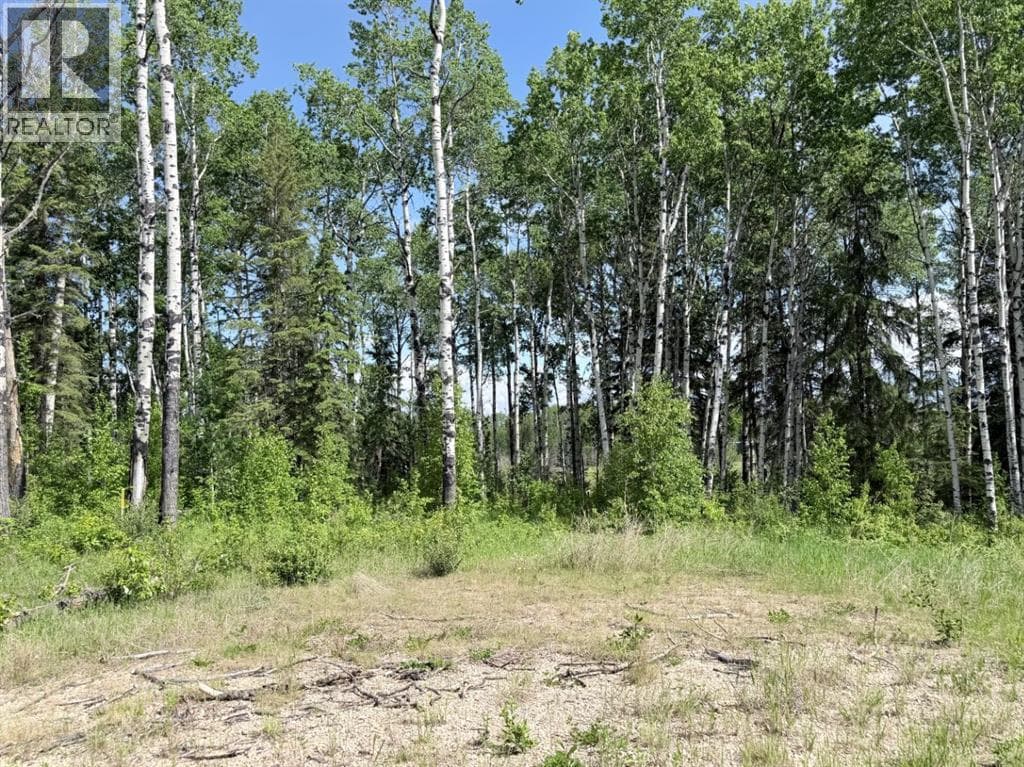 Block 2 Lot 7 Elk Ridge Estates — photo 3
