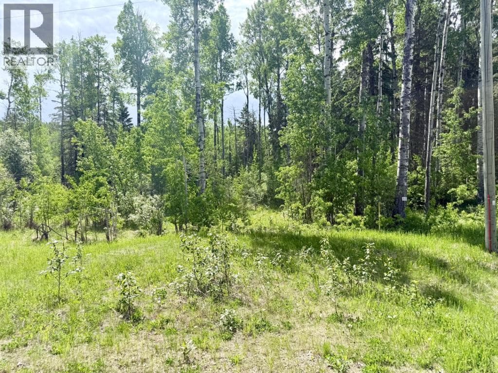 Block 2 Lot 8 Elk Ridge Estates — photo 2