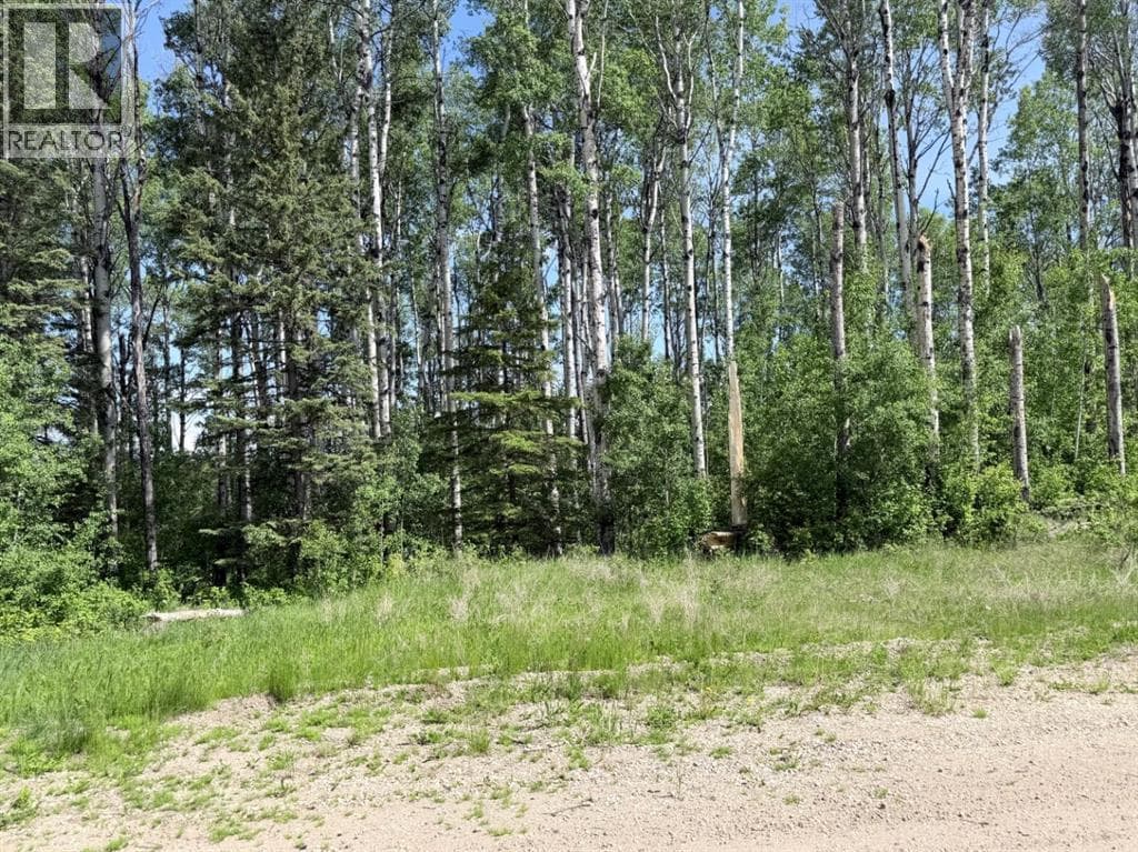 Block 2 Lot 6 Elk Ridge Estates — photo 2