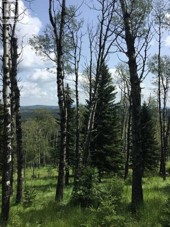 215 Wintergreen Road — photo 4