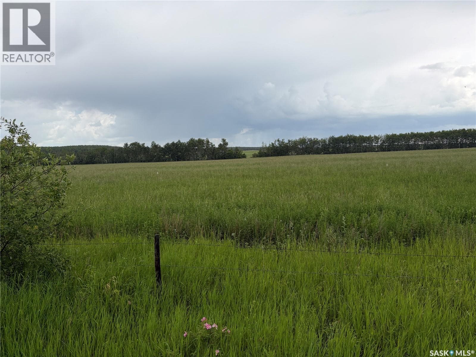 Canwood RM Land — photo 4