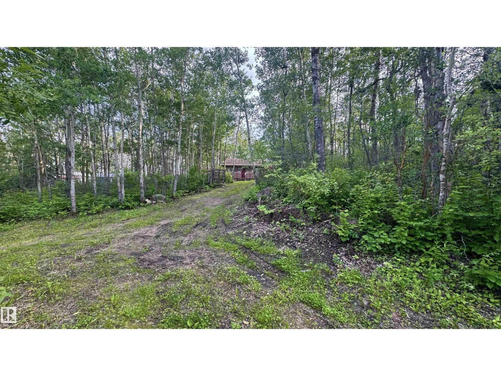 428 11121 TWP ROAD 595 — photo 4