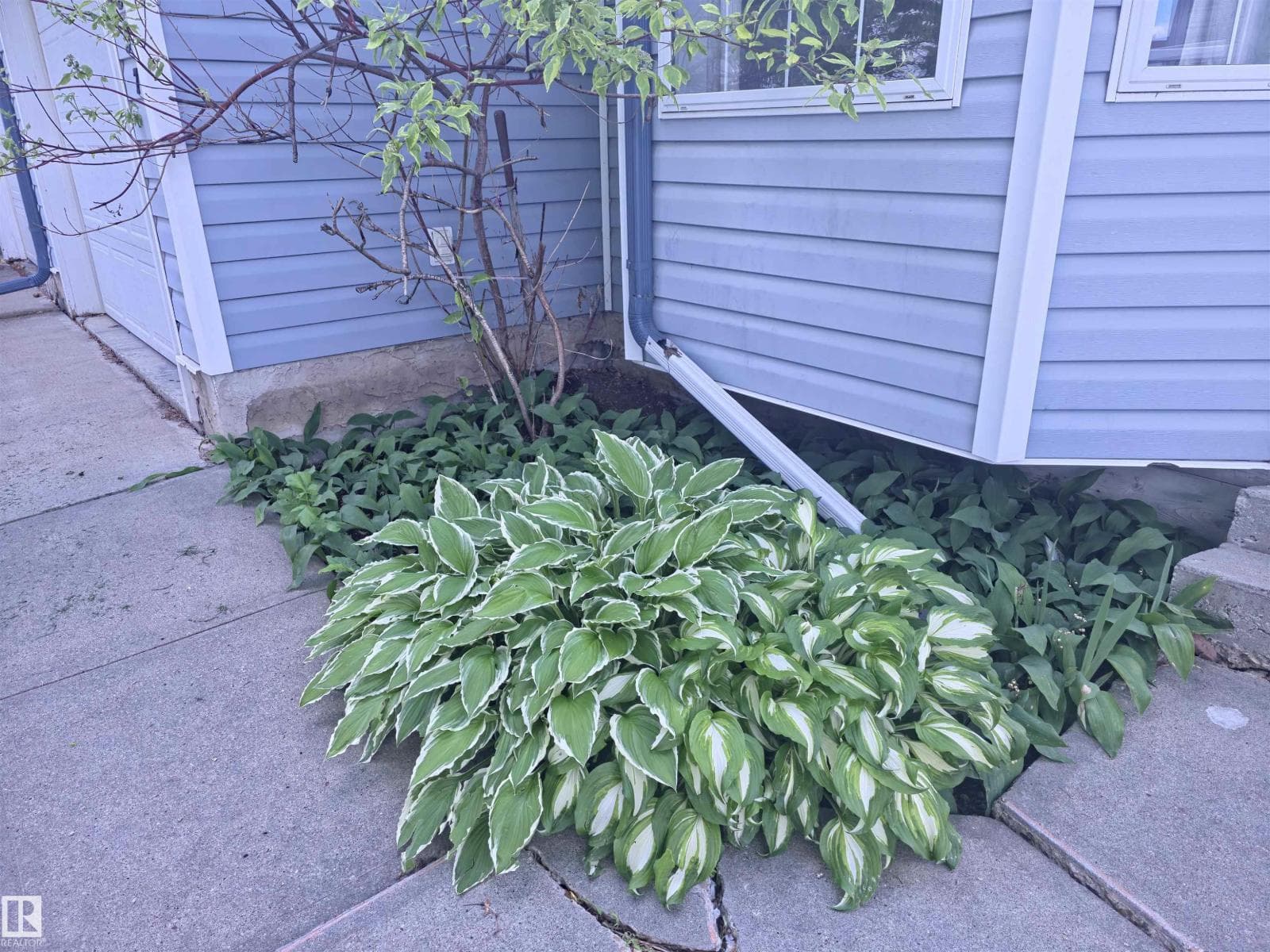 12237 140A AV NW — photo 3