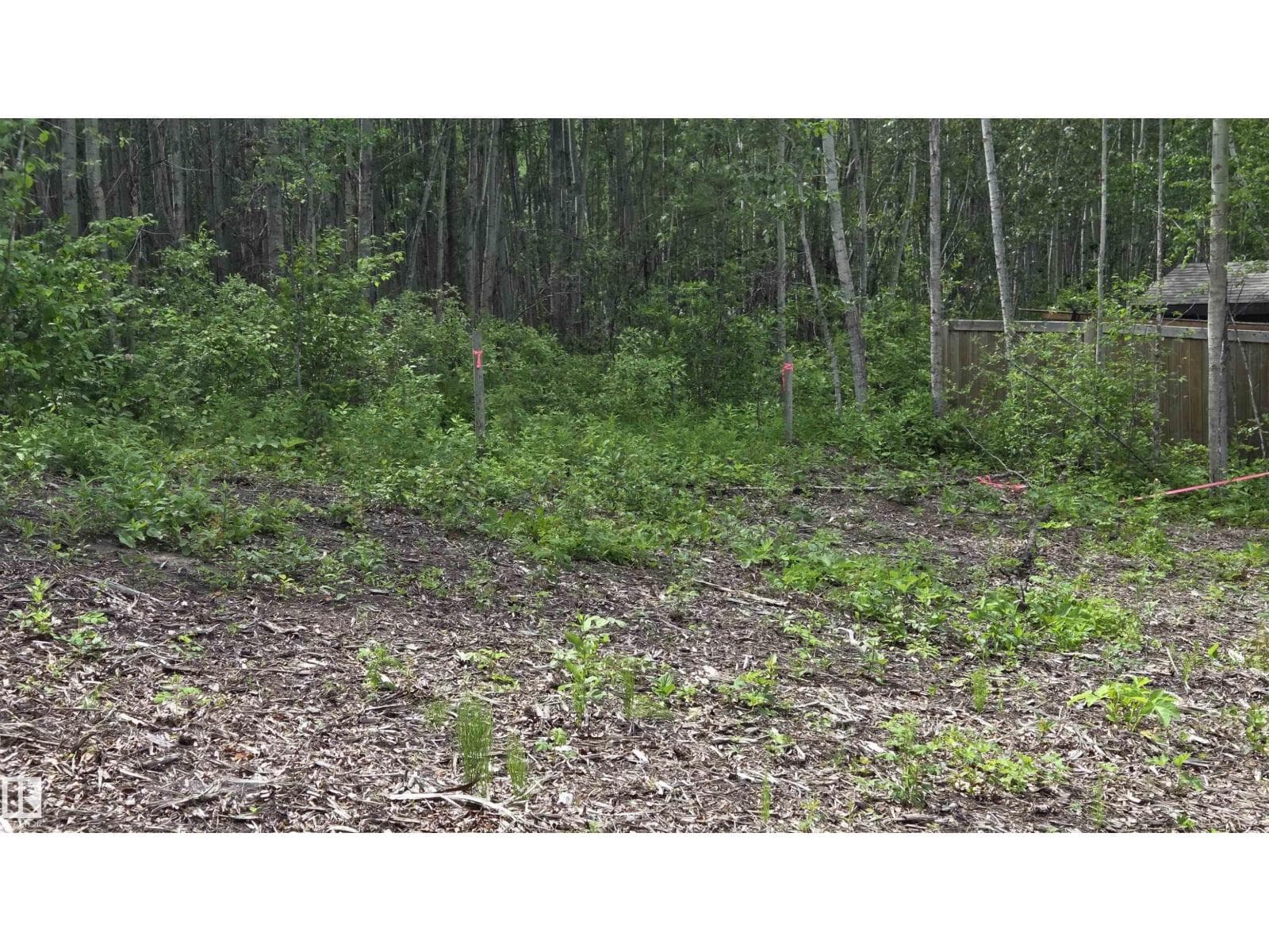 77 Crystal Springs Drive — photo 4