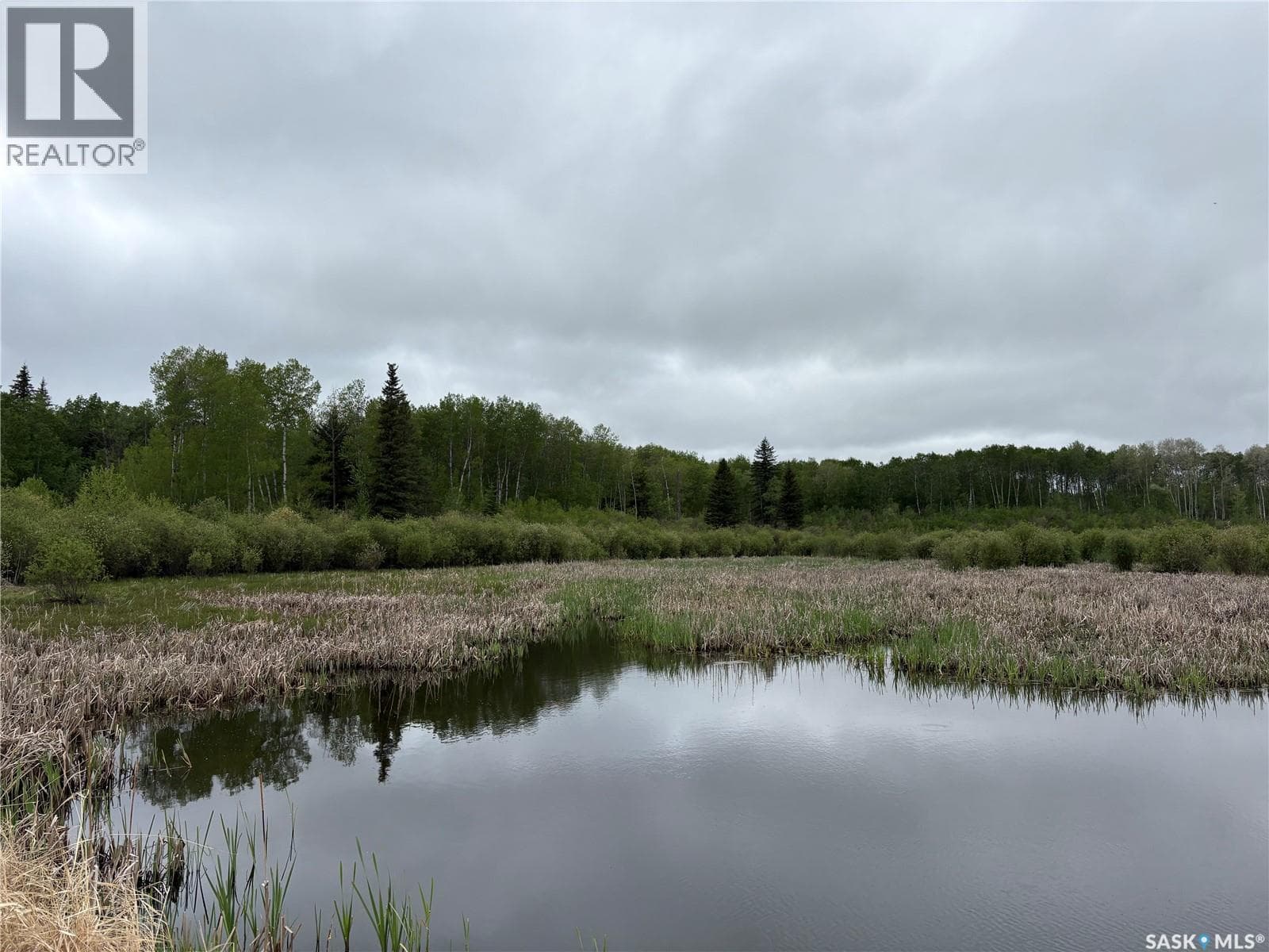 Rec Land Rockford 18.13 Acres — photo 4