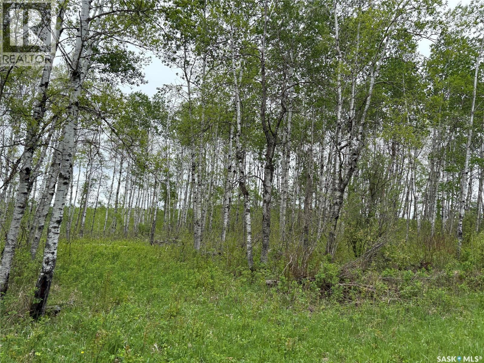 Rec Land Rockford 18.13 Acres — photo 5