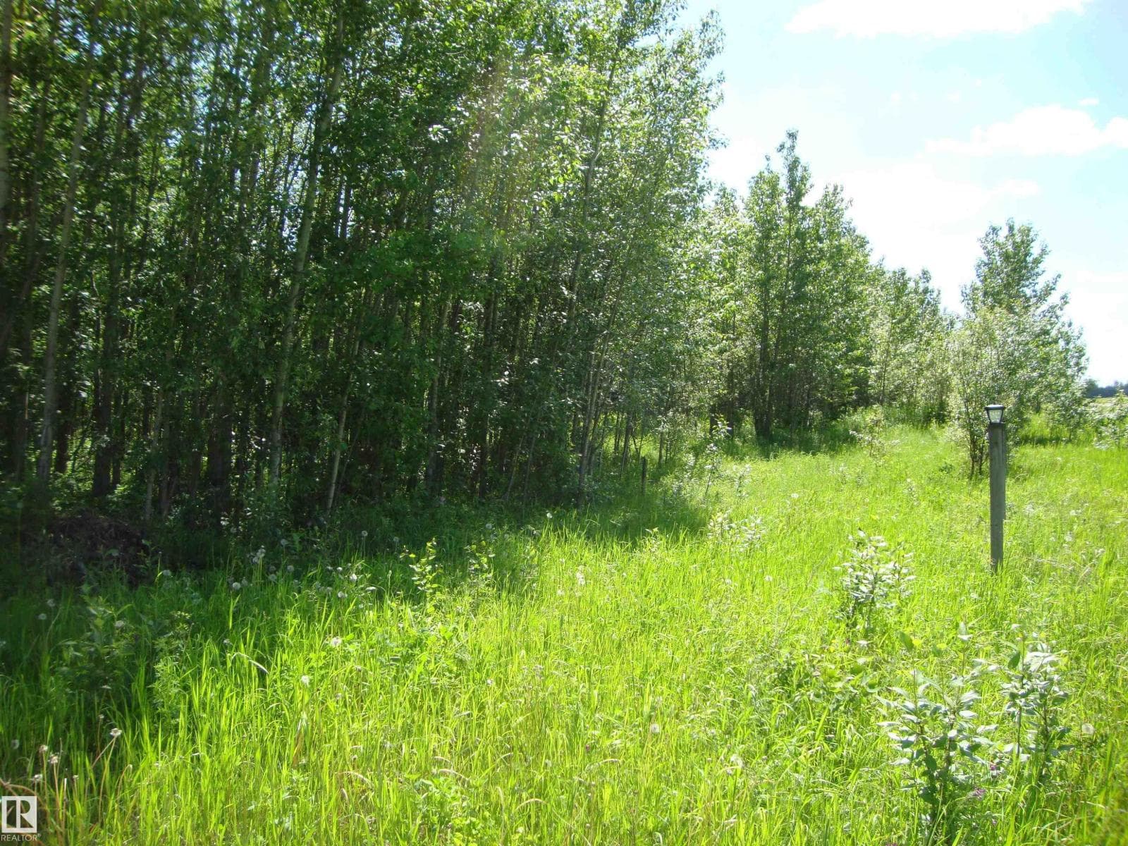 60321 RR231 — photo 3