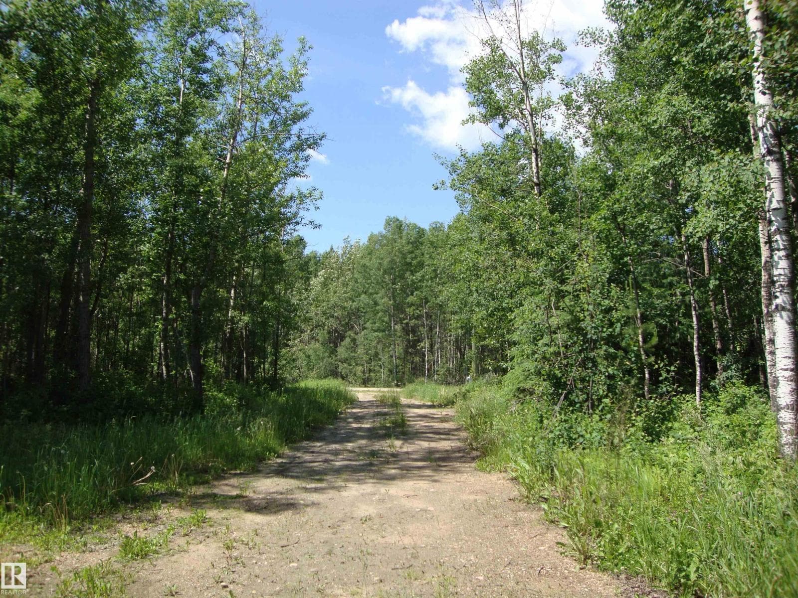 60321 RR231 — photo 4