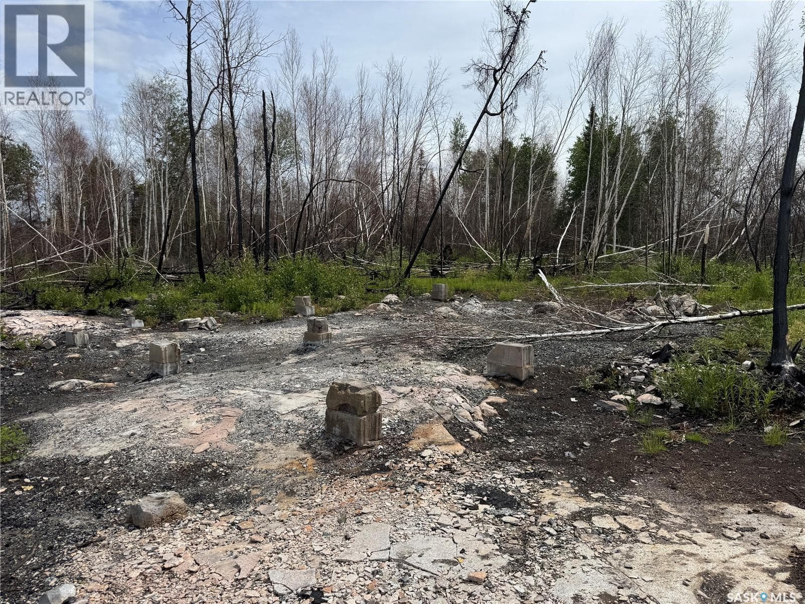 Nemeiben Lake Remote Recretional Leased Land — photo 5