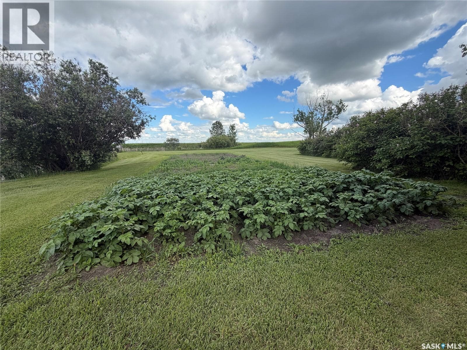 Pollock Acreage. 9 acres RM of Fillmore — photo 5