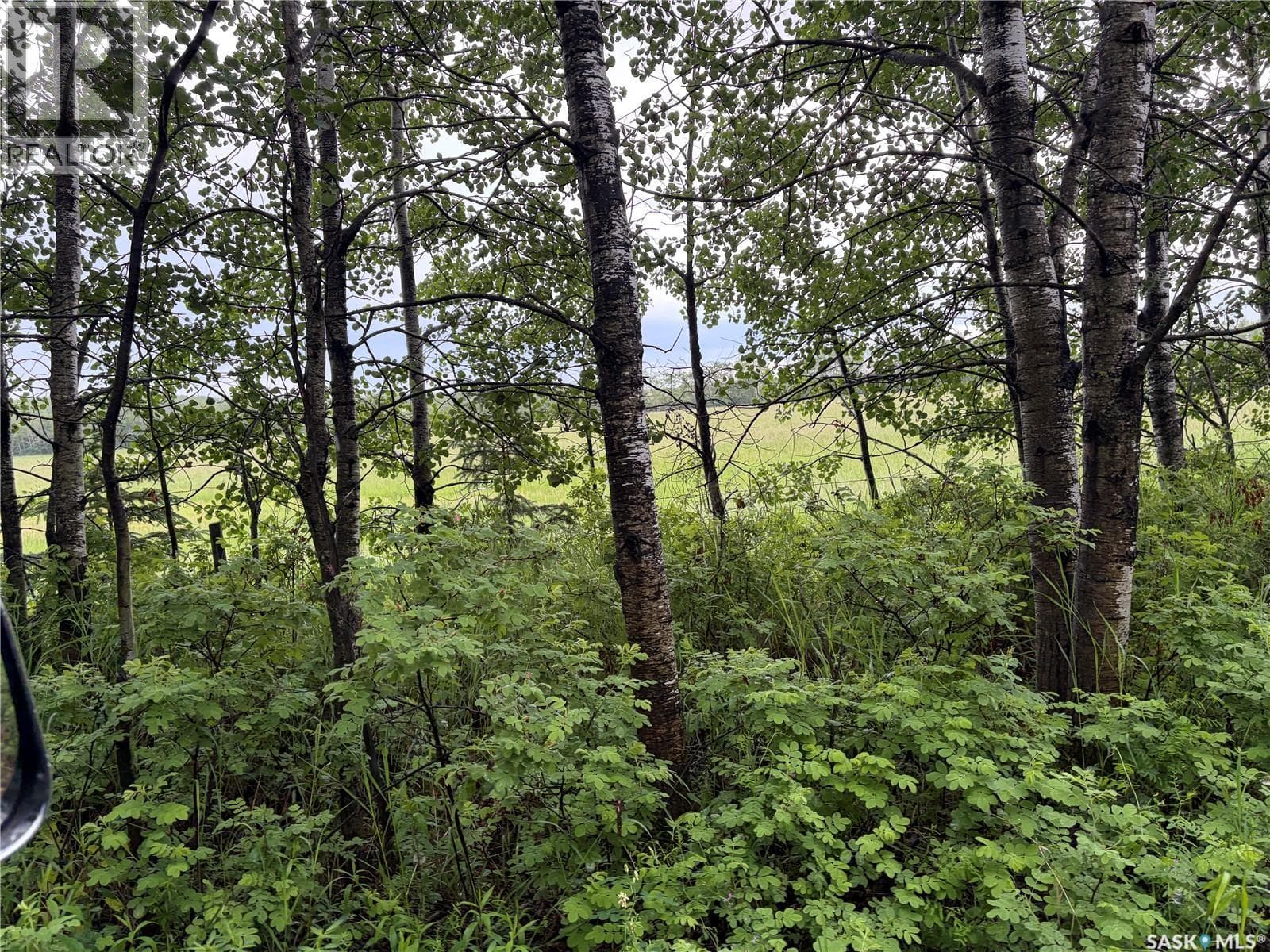 Canwood RM Land — photo 3