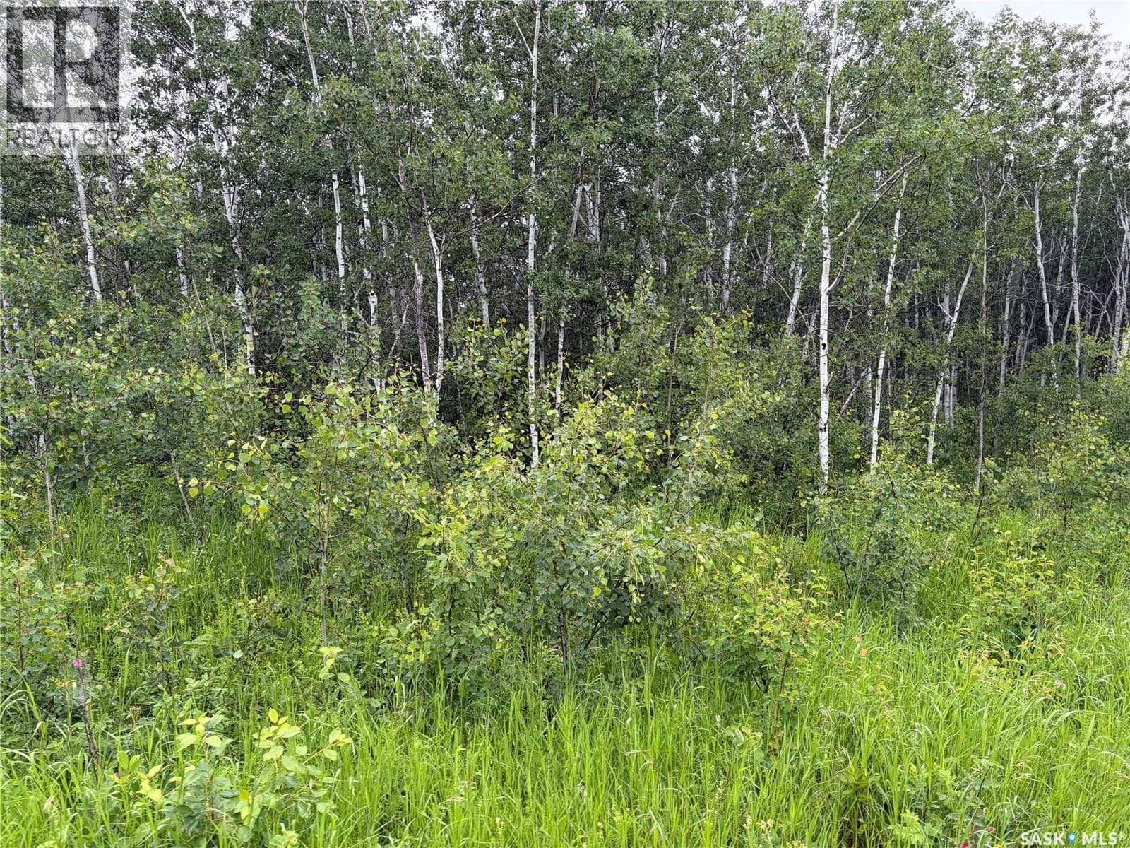 Canwood RM Land — photo 5