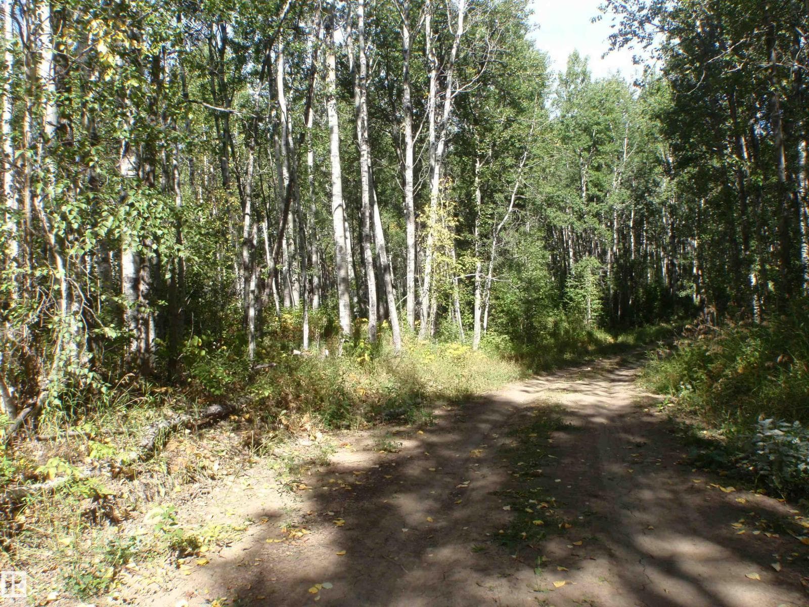 rr62 w5th: R6: T59 S22 SE — photo 4