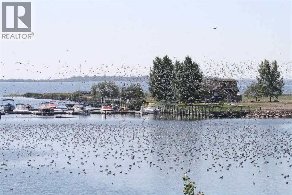 95 white pelican View — photo 3