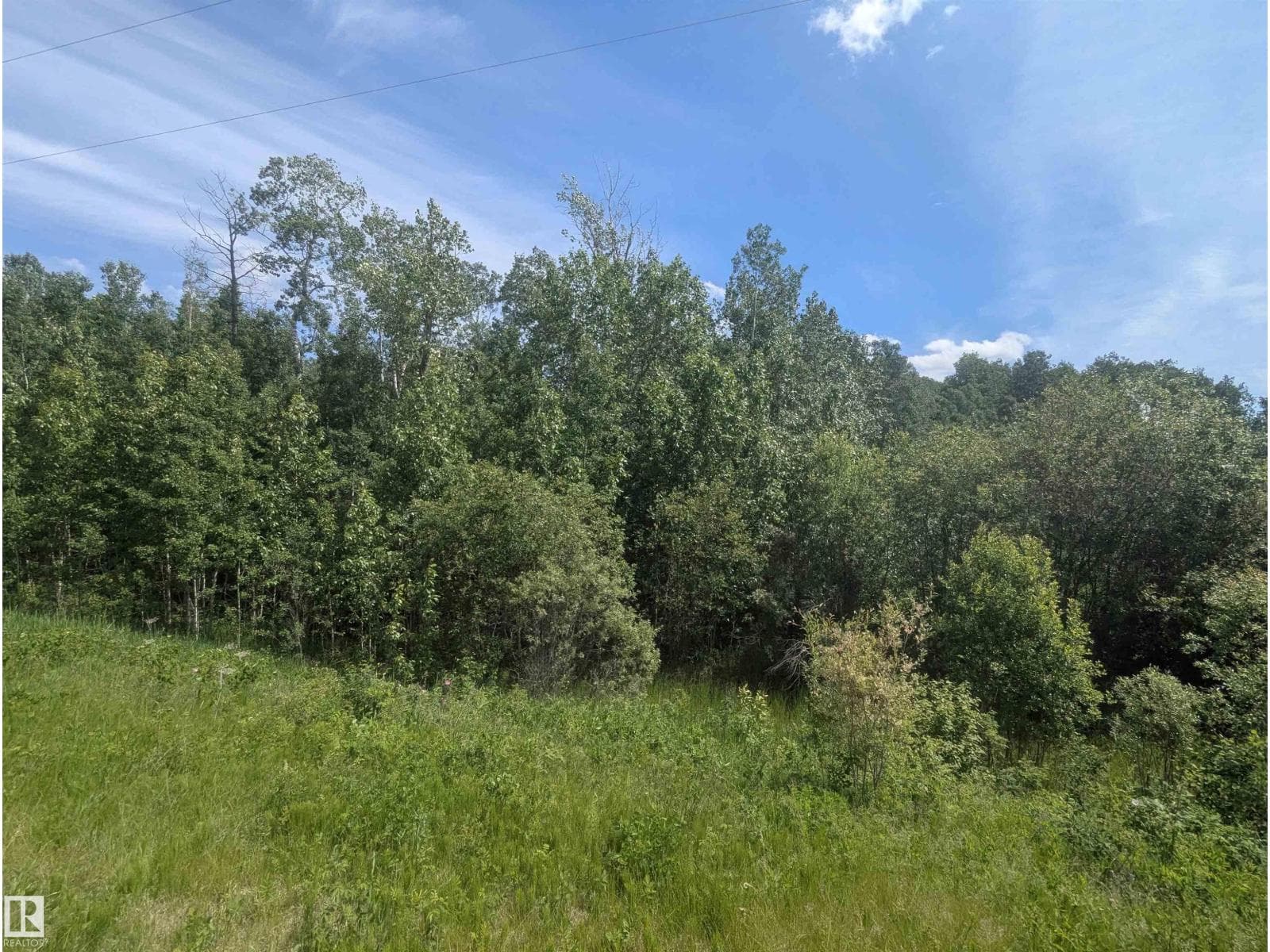 #38 56110 RGE ROAD 13 — photo 3
