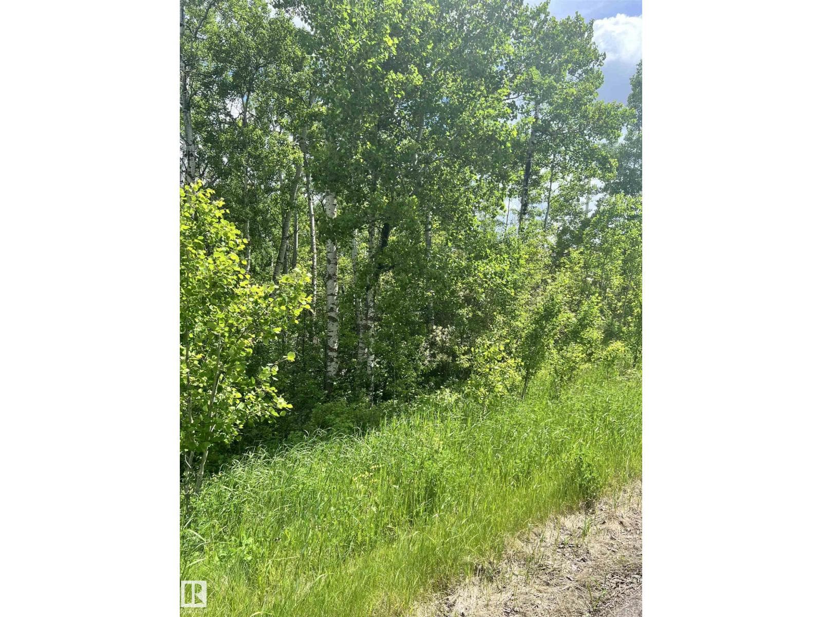 62 & 63 Coney Drive — photo 3