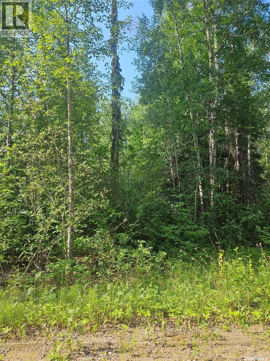 908 Lynx PLACE — photo 3