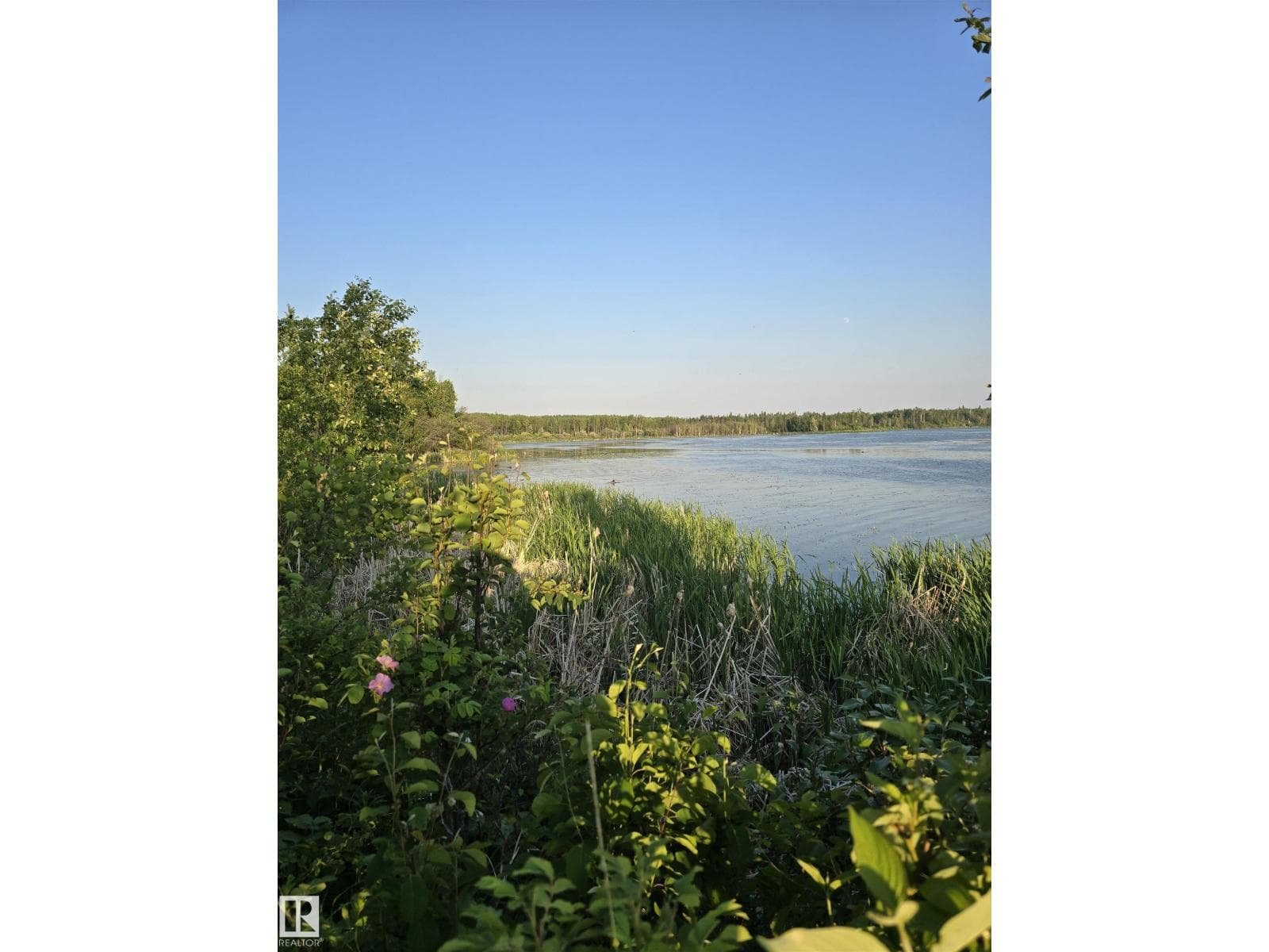 168 5519 TWP RD 550