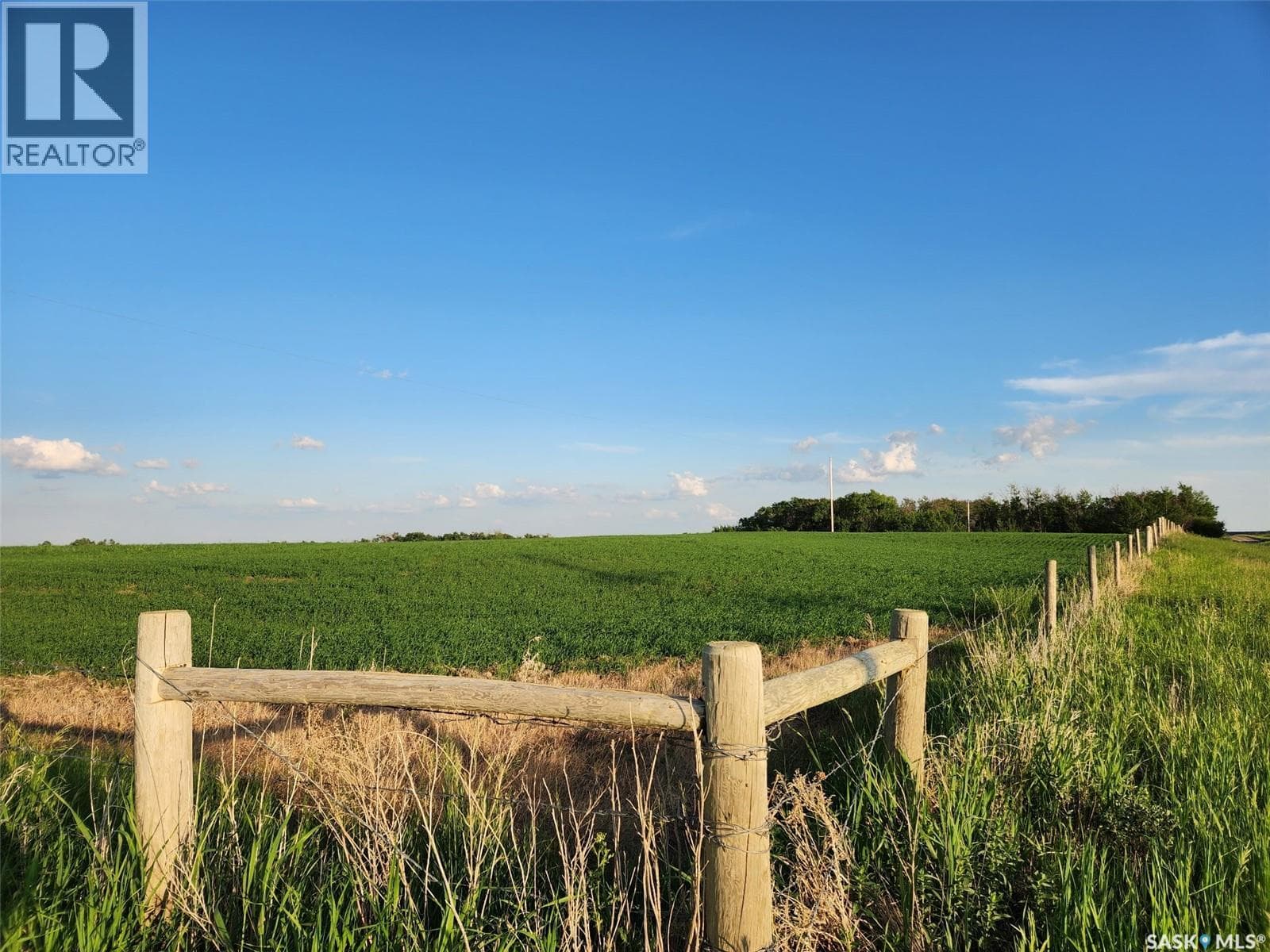 Lazeski Acreage — photo 3