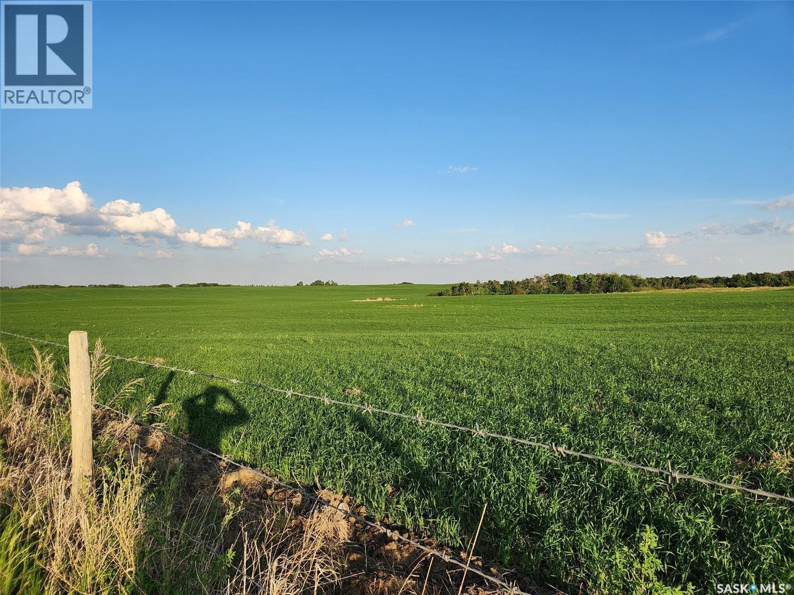 Lazeski Acreage — photo 4