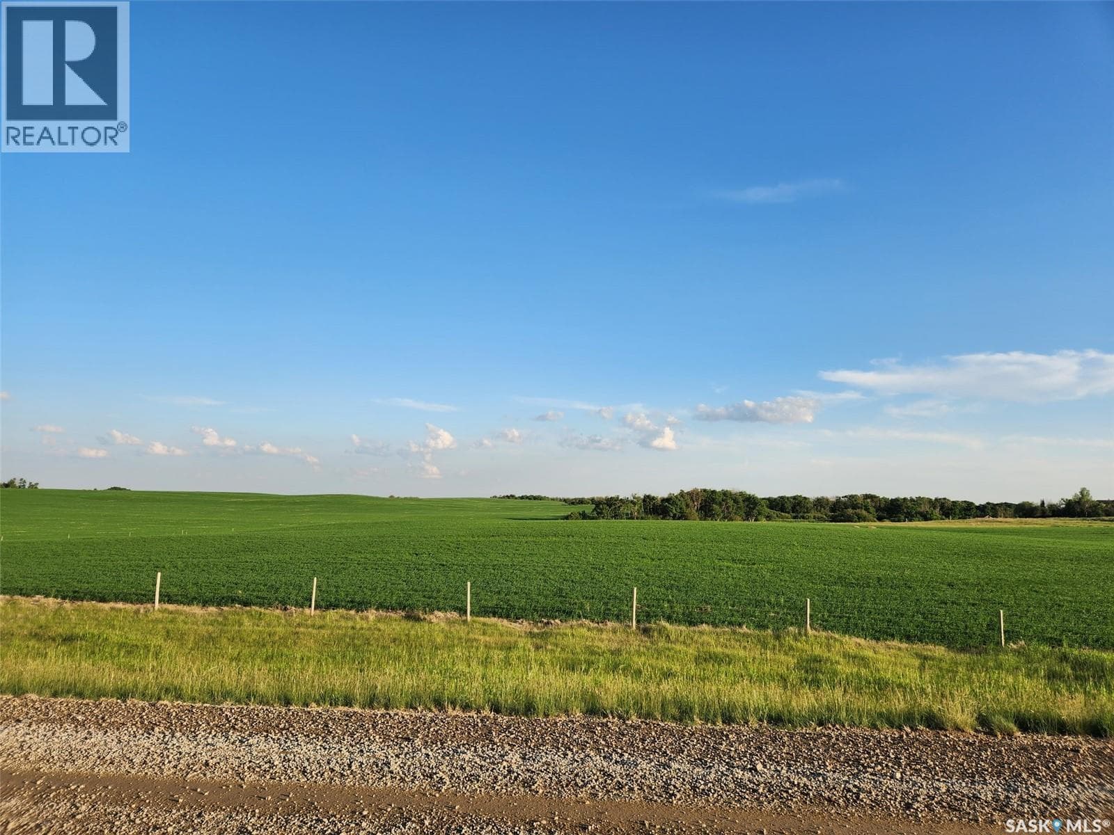 Lazeski Acreage — photo 5