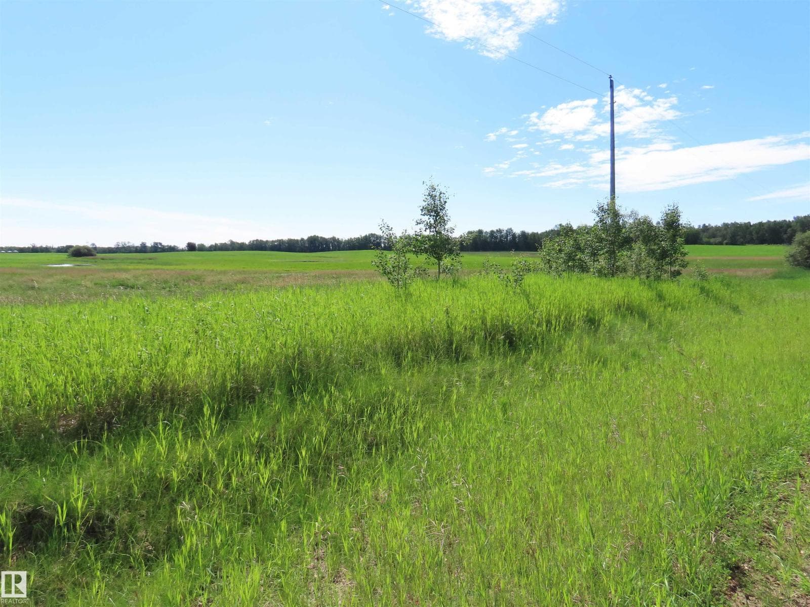 55421 RGE ROAD 31 — photo 4