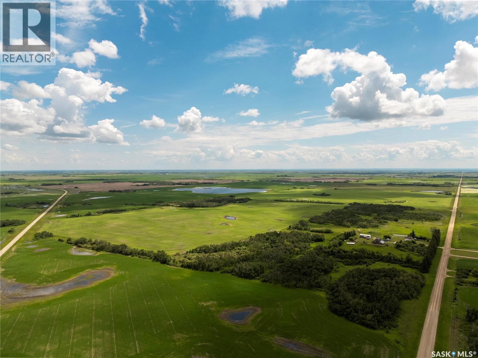 Leniczek Farm/Lily & Rose Seed Processors — photo 3