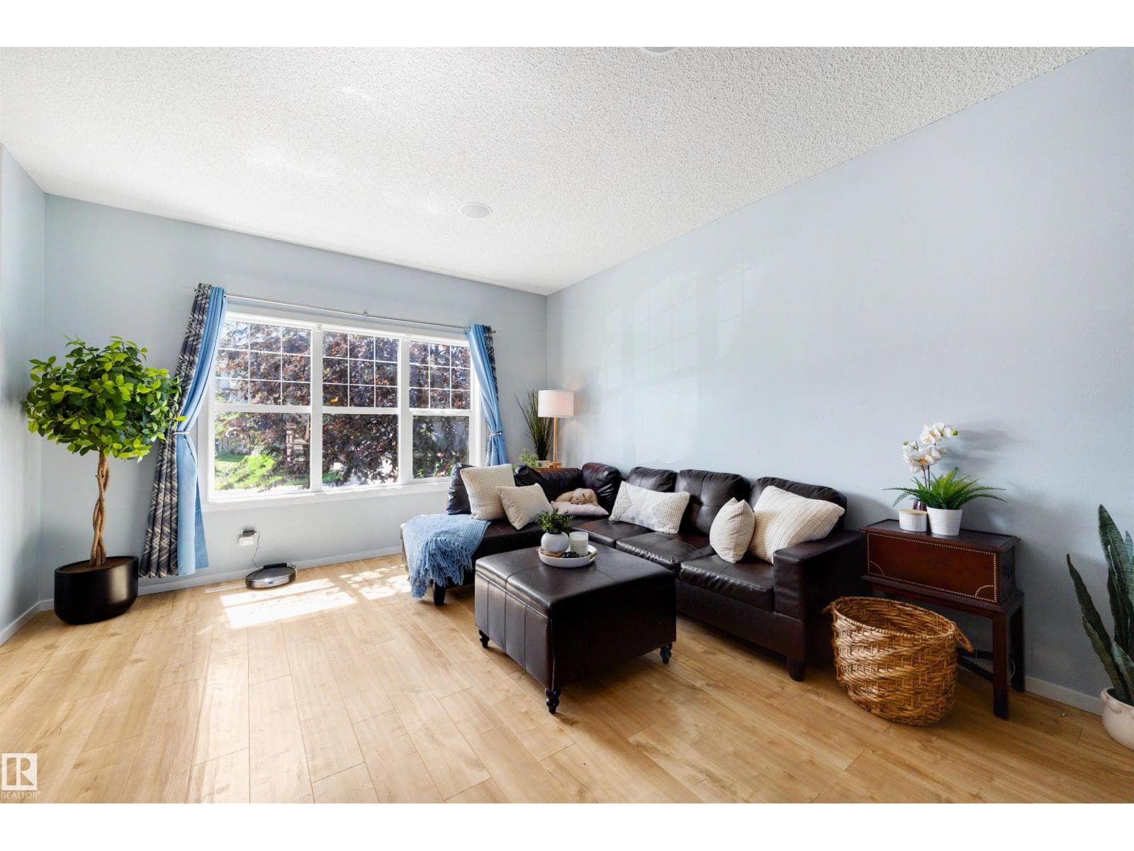 1522 CHAPMAN WY SW — photo 5