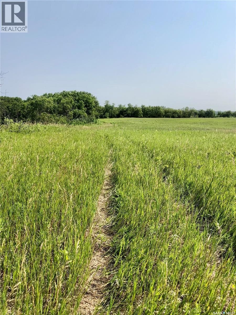 RM of Livingston Rec Land — photo 5