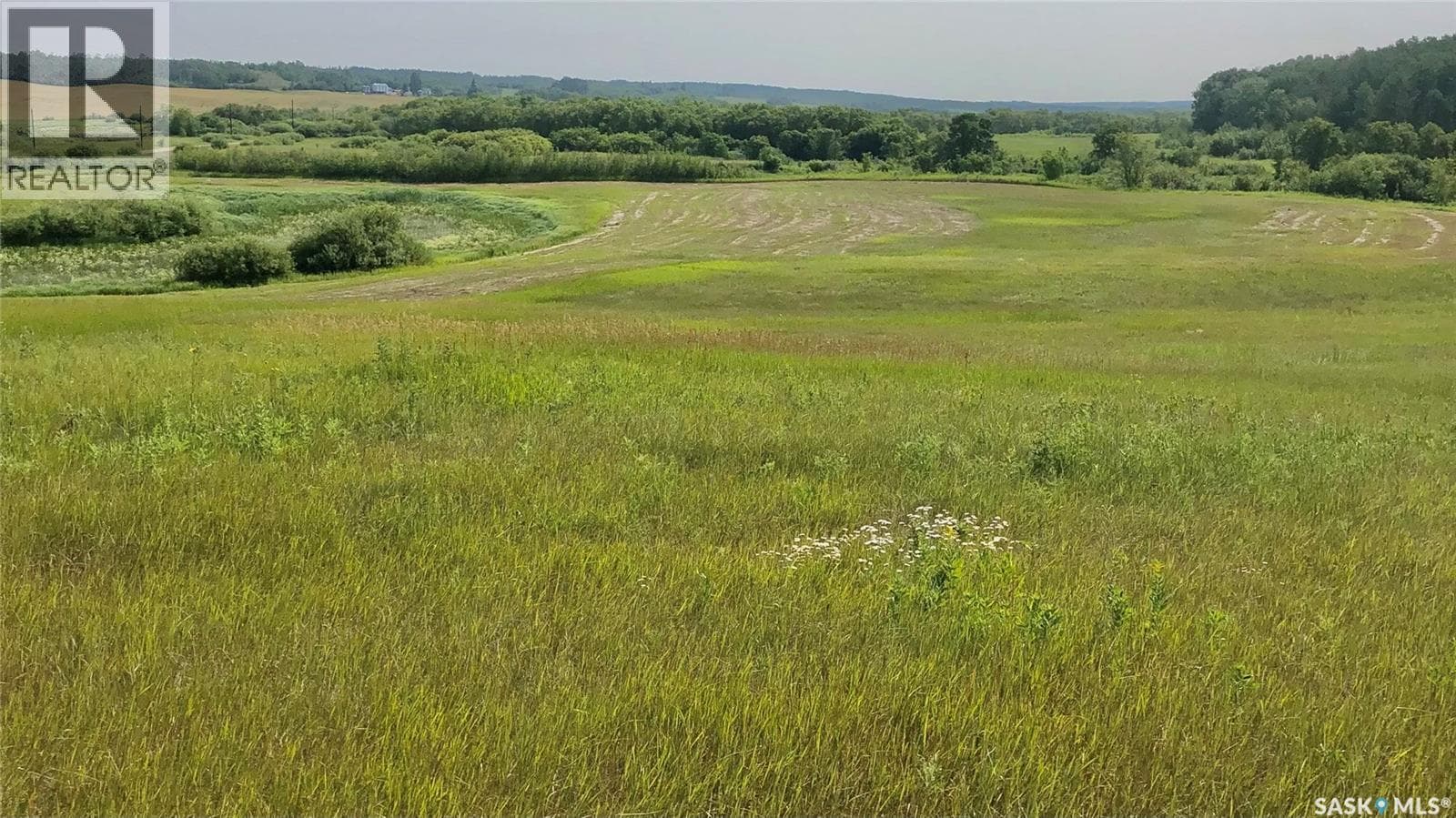 RM of Livingston Rec Land — photo 3