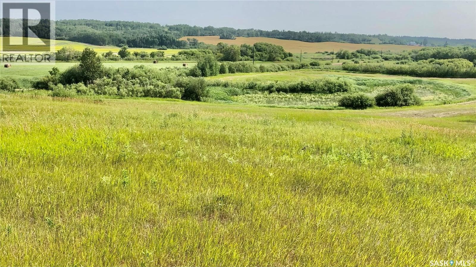 RM of Livingston Rec Land — photo 4