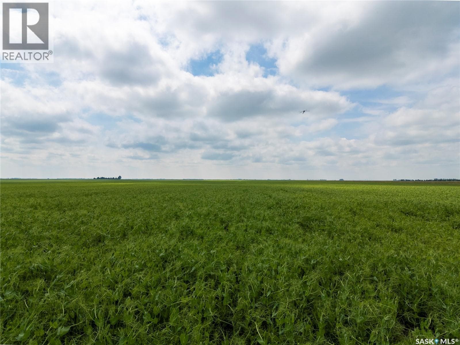 12,511 Acres of Farmland & Yard Sites Near Regina — photo 5