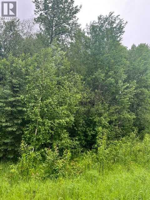 58215-58237 Range Road 121 — photo 5