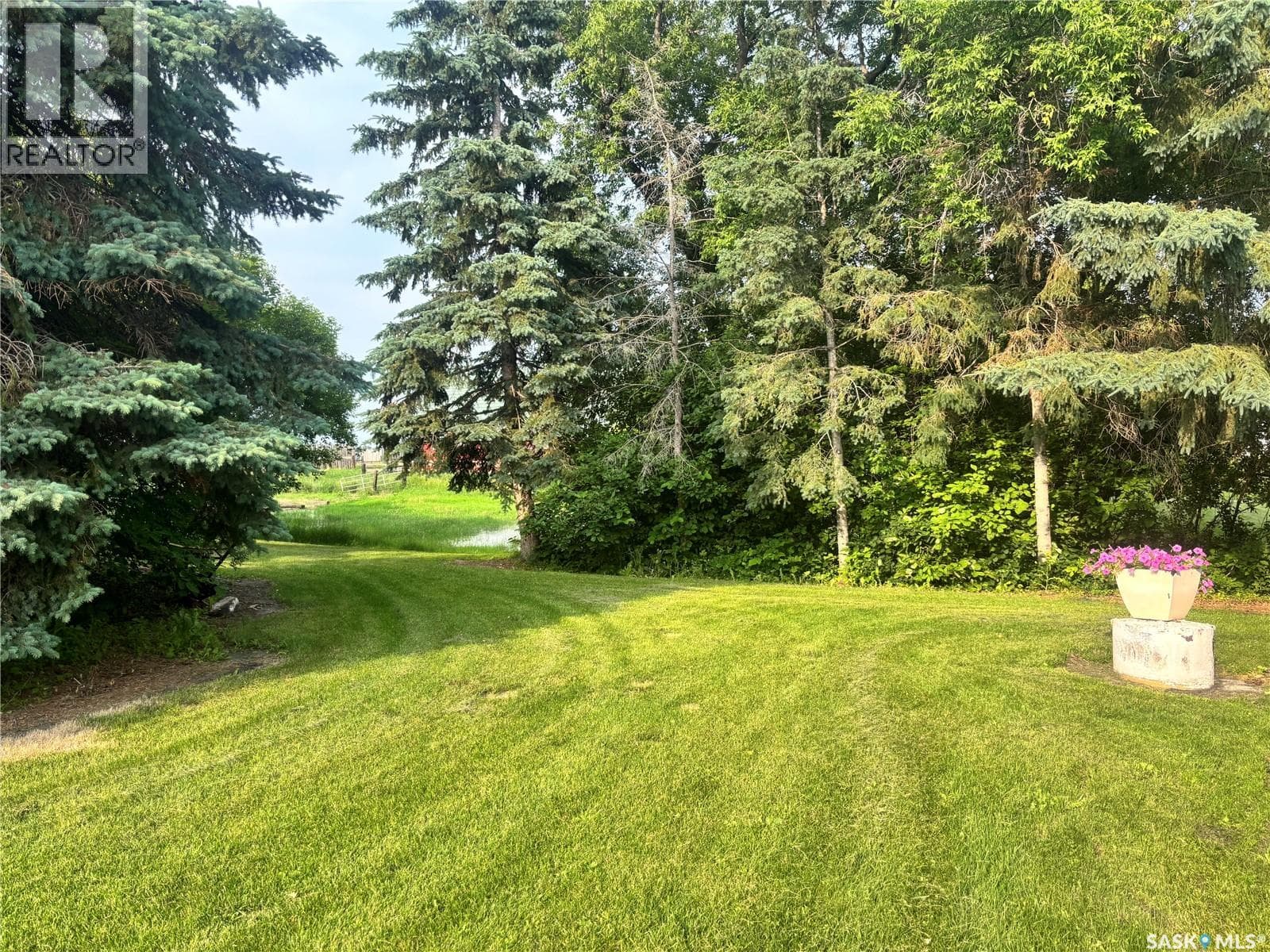 Journey Acres Langenburg Churchbridge Acreage — photo 5
