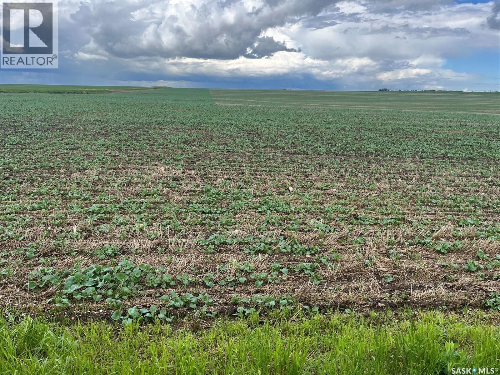 Balon Farm R.M. # 401-237 Acres — photo 4