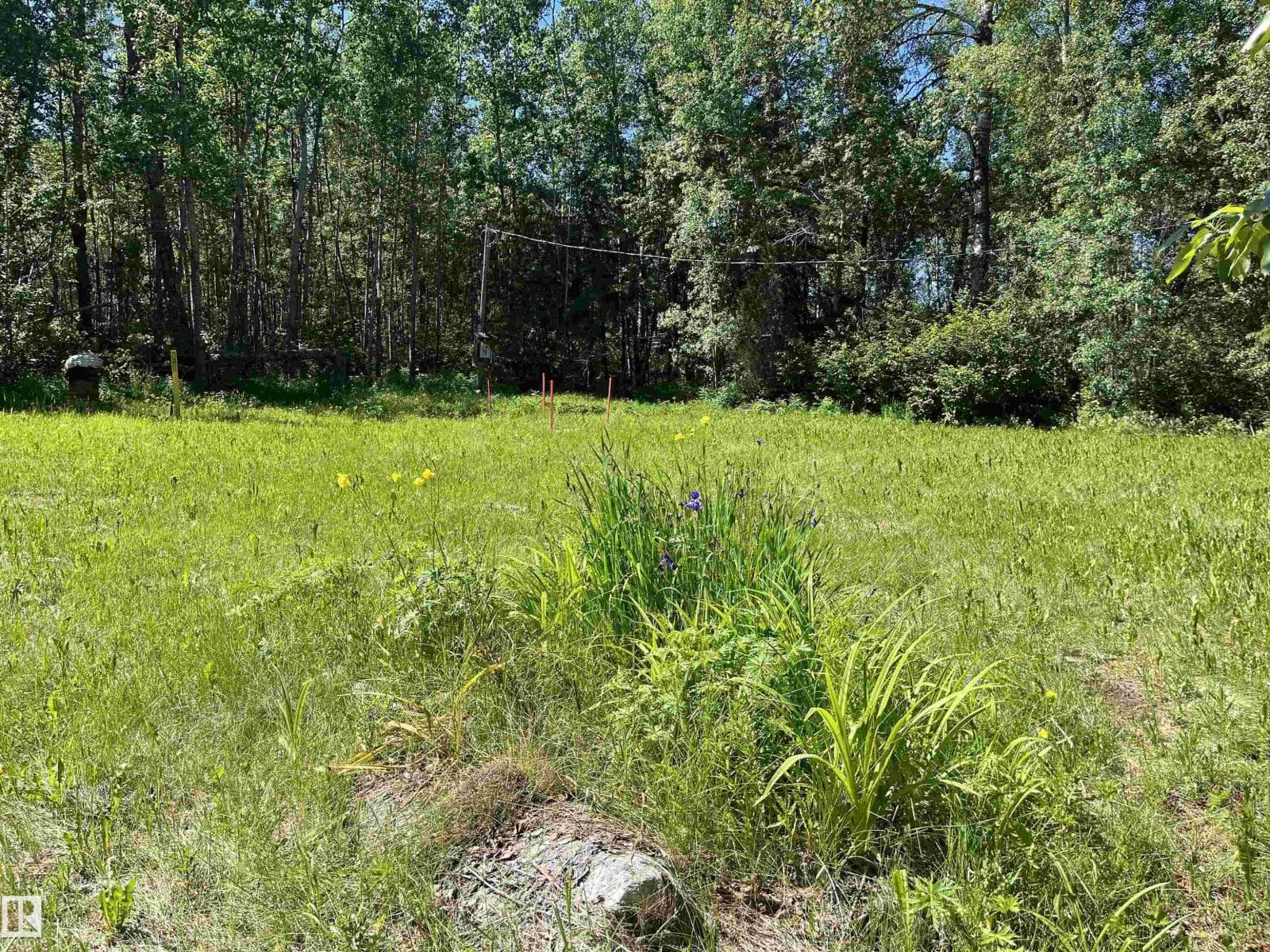 #26 54104 Rge Rd 35 — photo 4