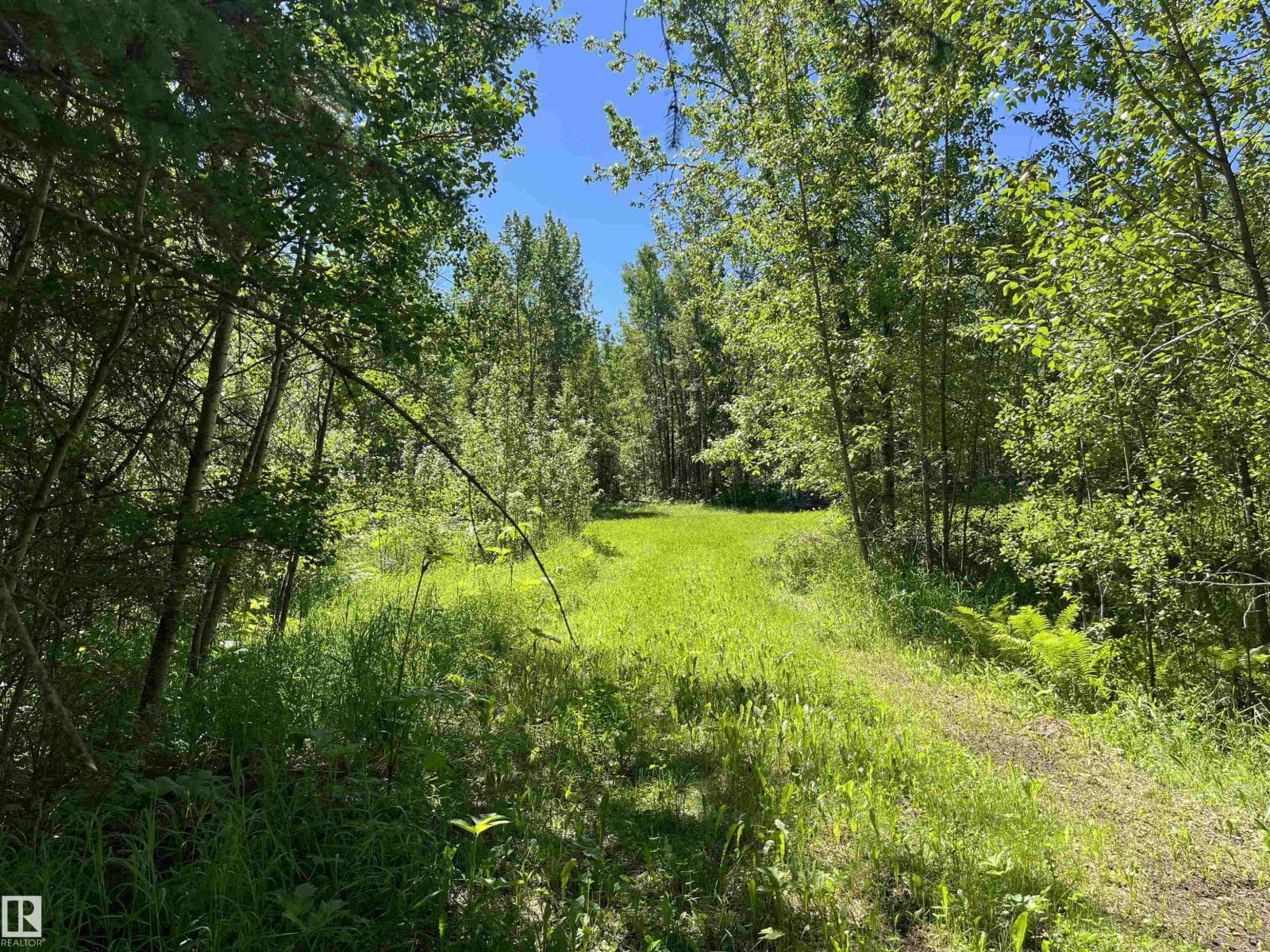 #26 54104 Rge Rd 35 — photo 3