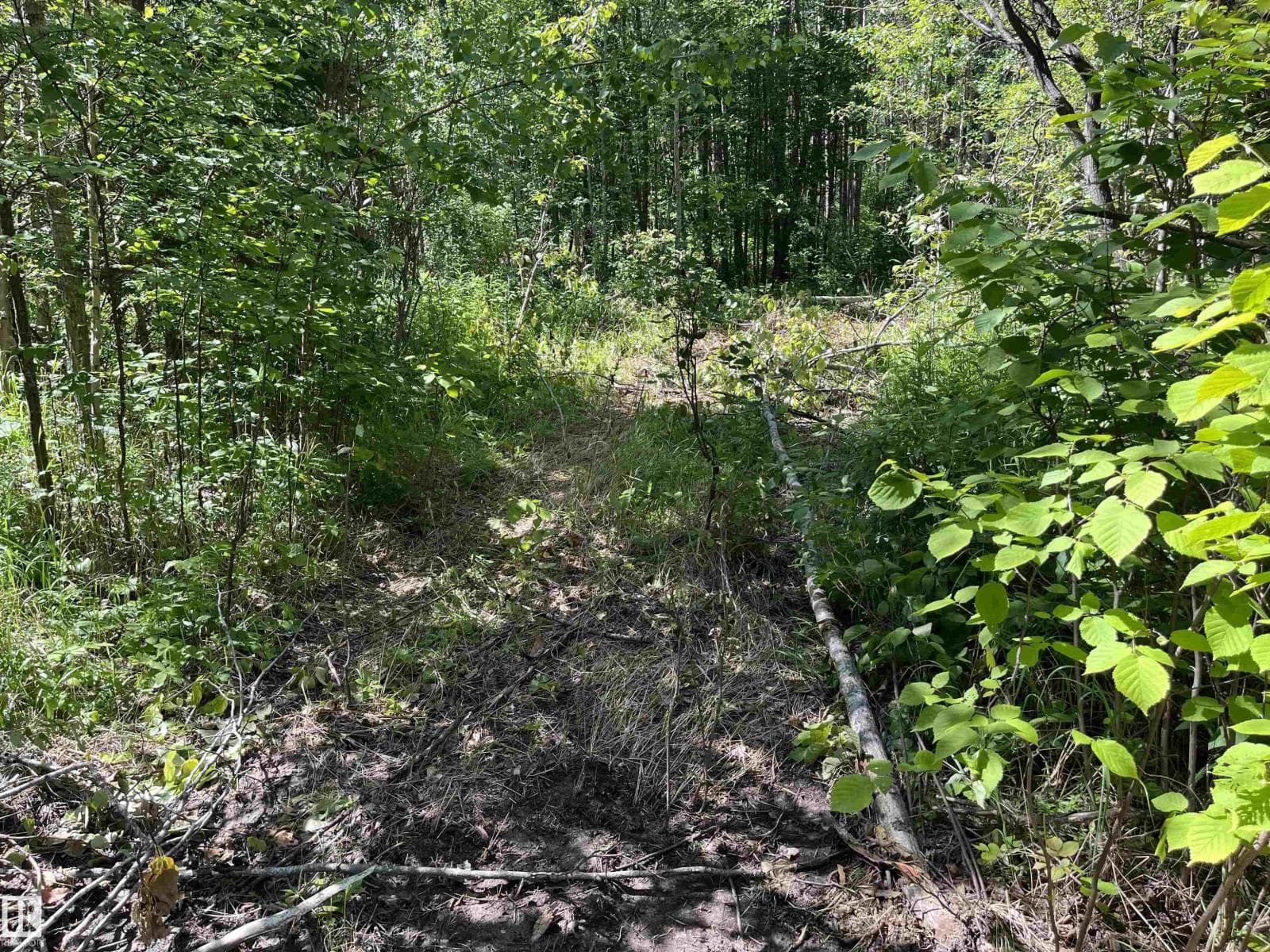 #39 53407 RGE ROAD 30 — photo 4
