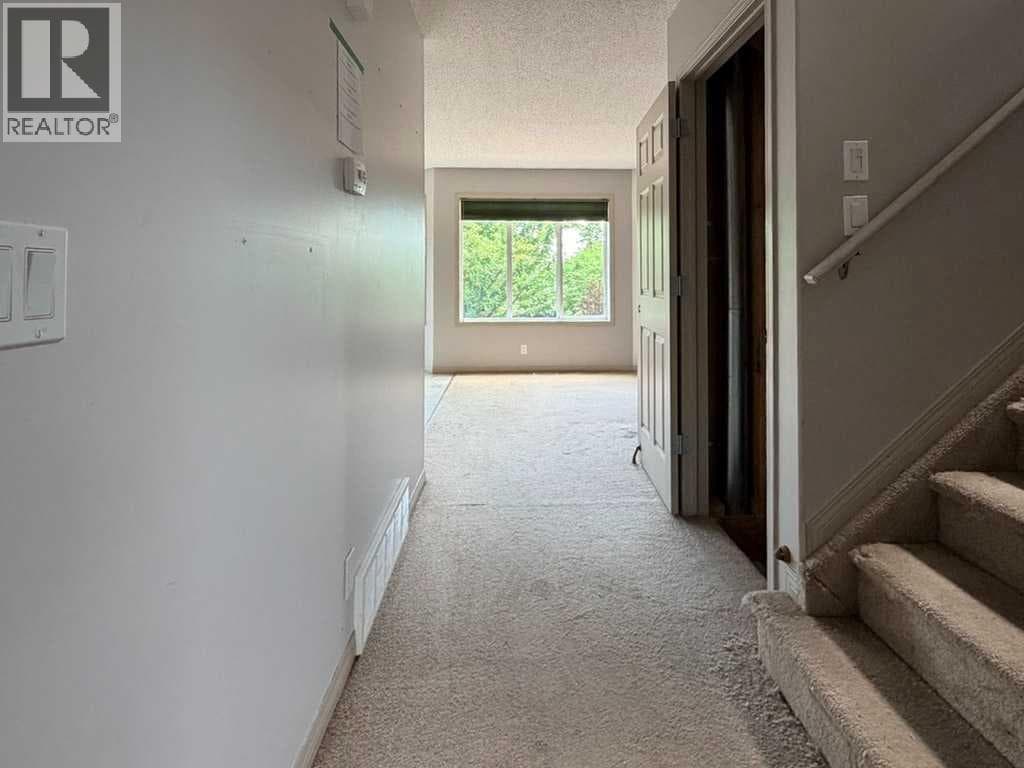 137 Cinnamon Street — photo 3