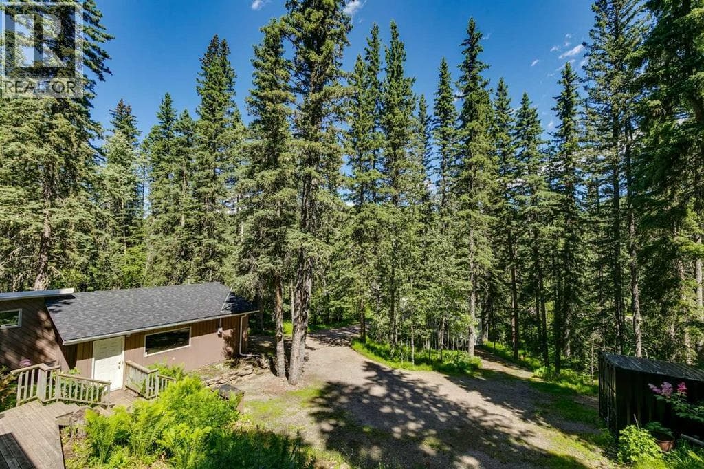241 Mountain Lion Drive — photo 5
