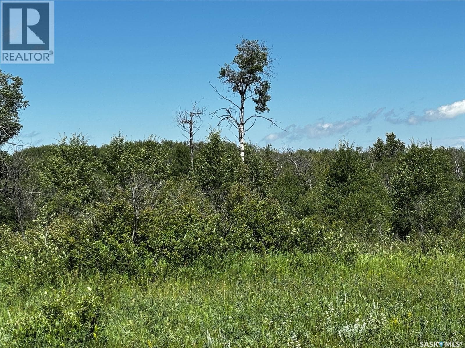 Sherbrooke Trail Land — photo 2