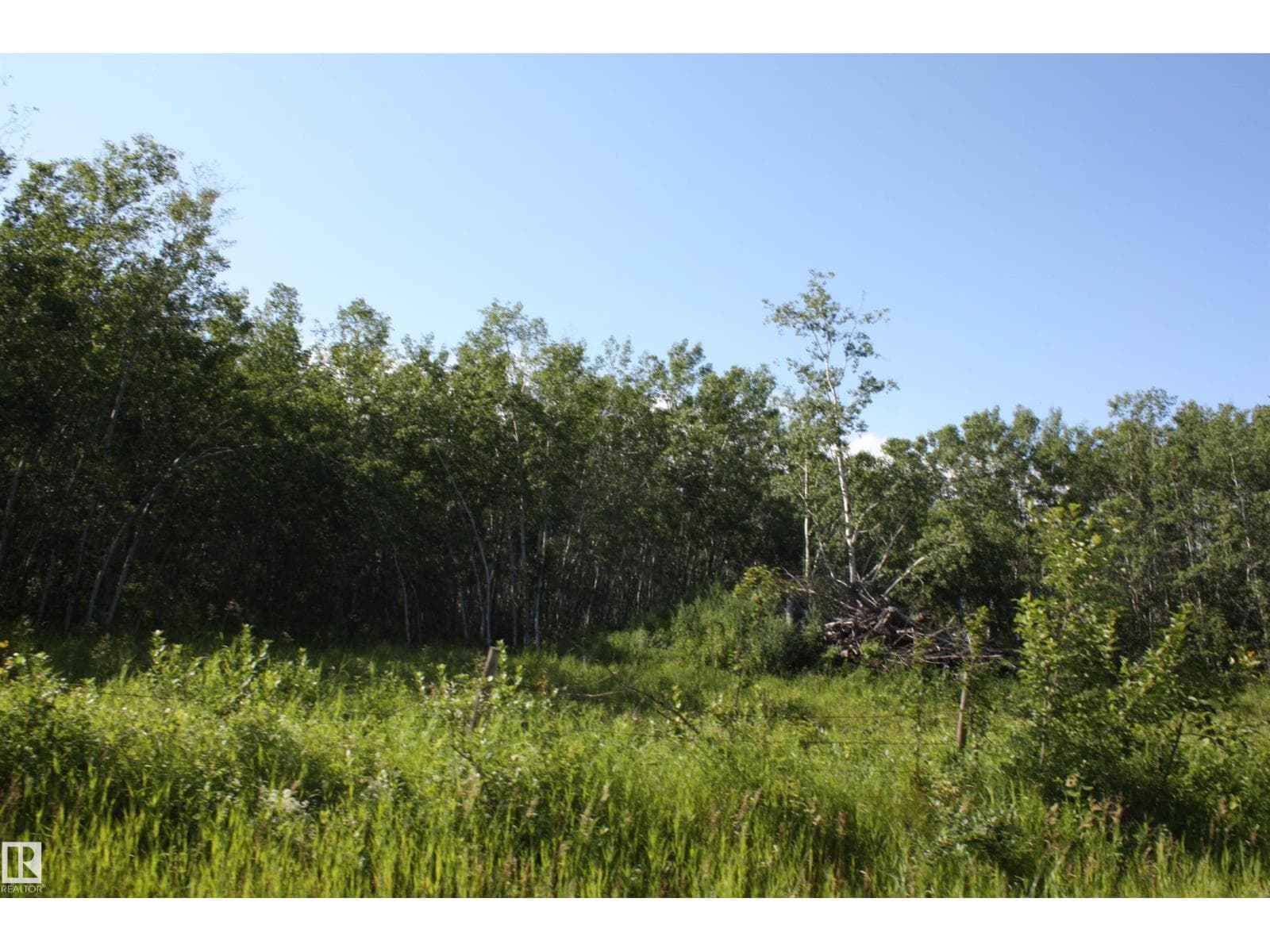 RR 195 VICTORIA TRAIL — photo 5