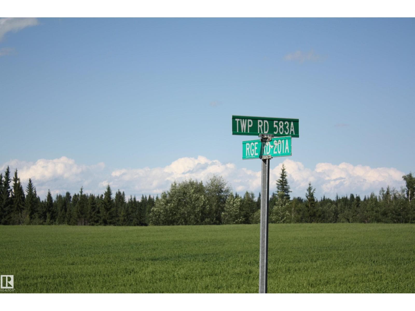 RR202 TWP583