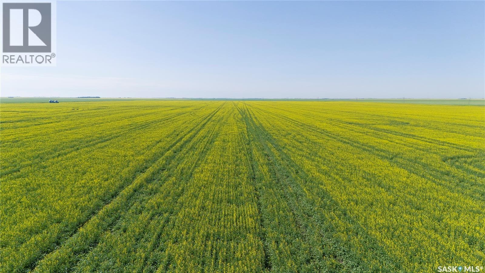 8 Quarters Premium Grainland Near Lewvan (Reimer) — photo 2