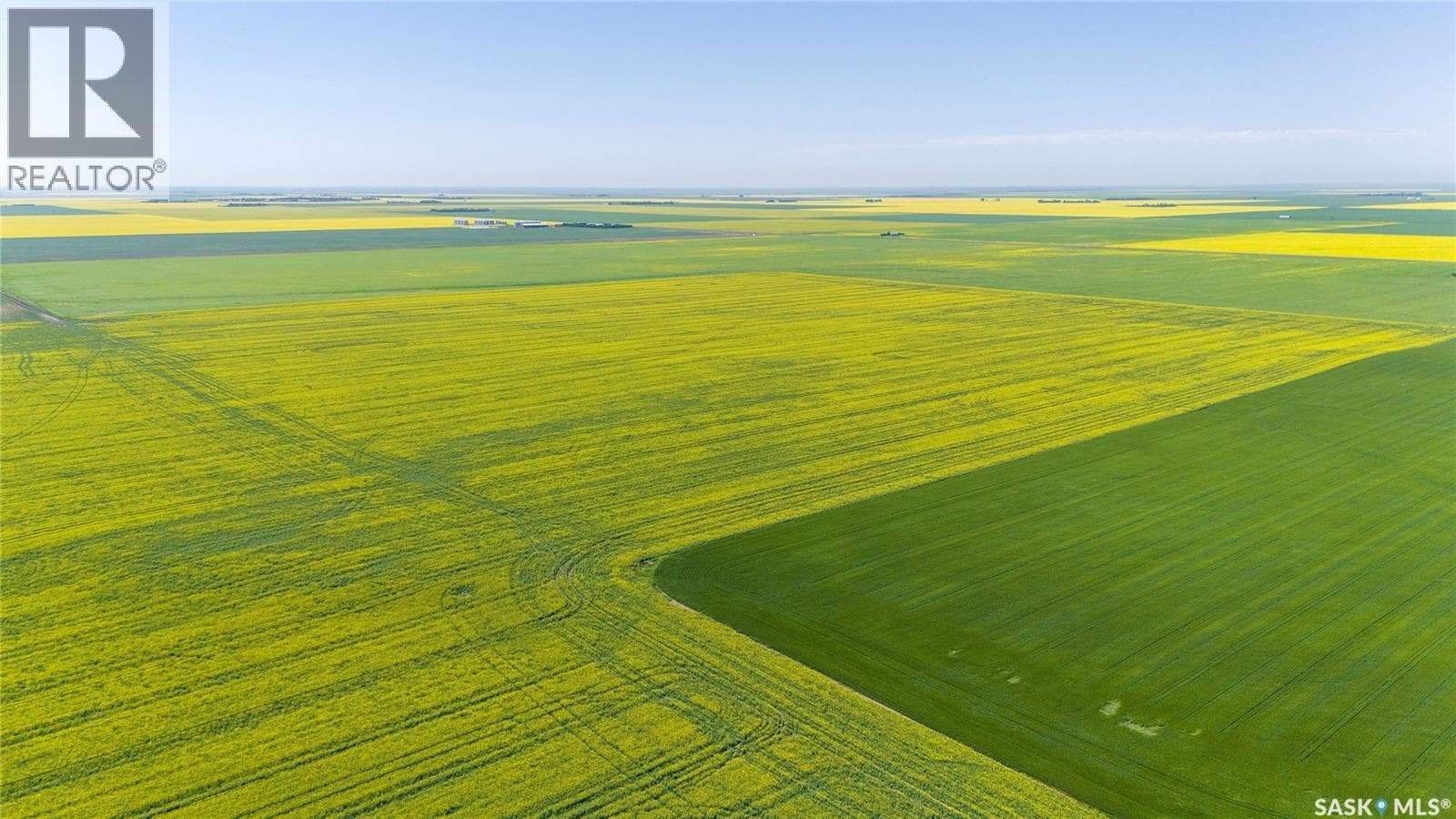8 Quarters Premium Grainland Near Lewvan (Reimer) — photo 3