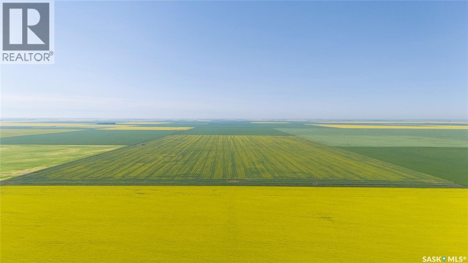 8 Quarters Premium Grainland Near Lewvan (Reimer) — photo 4