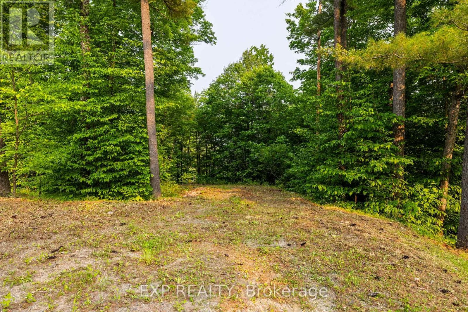 1225 BARRETT CHUTE ROAD photo 5