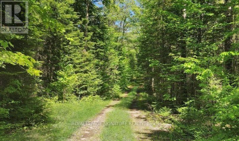 0 BOBCAYGEON ROAD photo 4